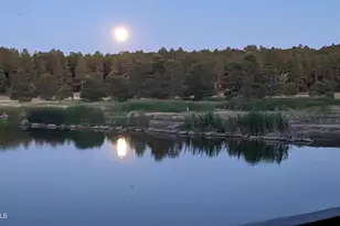 2358 E Rainbow Ln, Pinetop, AZ 85935 - Photo 48