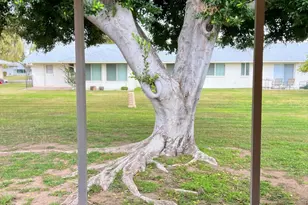 10135 W Bolivar Dr, Sun City, AZ 85351 - Photo 30