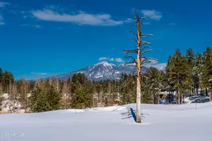 1713 E Solitude Ct, Flagstaff, AZ 86005 - Photo 58
