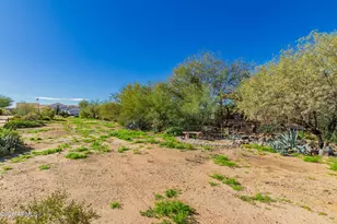 1127 E Joy Ranch Rd, Phoenix, AZ 85086 - Photo 44