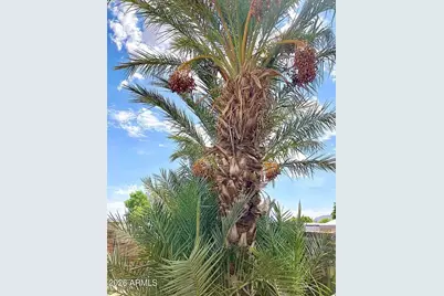 13245 E 39th Way, Yuma, AZ 85367 - Photo 22