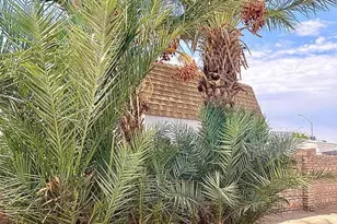 13245 E 39th Wy, Yuma, AZ 85367 - Photo 18