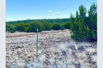 Tbd Co Rd N3218 37 Acres -- #-, Vernon, AZ 85940 - Photo 24
