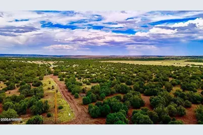 Tbd Co Rd N3218 37 Acres -- #-, Vernon, AZ 85940 - Photo 12