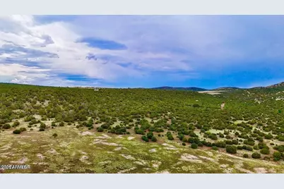 Tbd Co Rd N3218 37 Acres -- #-, Vernon, AZ 85940 - Photo 20