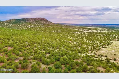 Tbd Co Rd N3218 37 Acres -- #-, Vernon, AZ 85940 - Photo 4