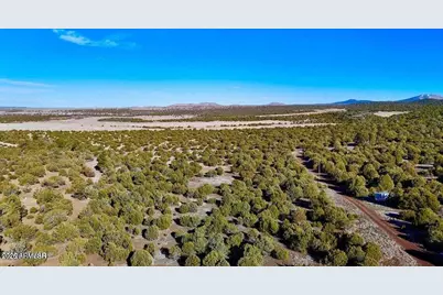 Tbd Co Rd N3218 37 Acres -- #-, Vernon, AZ 85940 - Photo 30