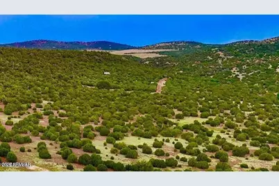 Tbd Co Rd N3218 37 Acres -- #-, Vernon, AZ 85940 - Photo 14