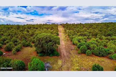 Tbd Co Rd N3218 37 Acres -- #-, Vernon, AZ 85940 - Photo 8