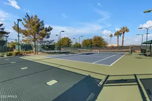 9009 E Cedar Waxwing Dr, Sun Lakes, AZ 85248 - Photo 44