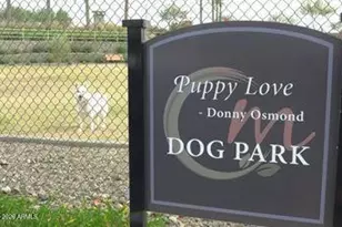 17910 W Silverwood Dr, Goodyear, AZ 85338 - Photo 82