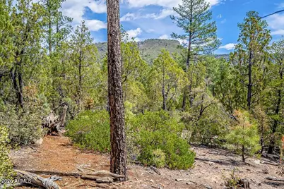0 Fawn Dr -- #1B, Pine, AZ 85544 - Photo 2