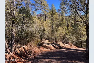 0 Fawn Dr -- #1B, Pine, AZ 85544 - Photo 12