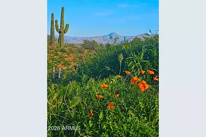 142X3 E Montello Road #-, Scottsdale, AZ 85262 - Photo 10