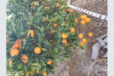 7750 E Broadway Road #Lot 857, Mesa, AZ 85208 - Photo 10