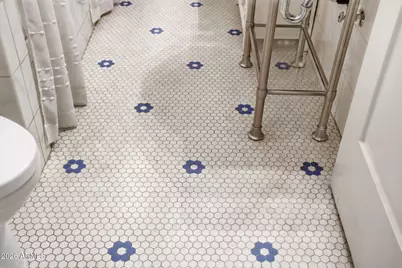 917 W Lynwood Street, Phoenix, AZ 85007 - Photo 66