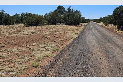 Tbd Acr N8060 -- #86, Concho, AZ 85924 - Photo 6