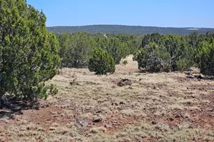 Tbd Acr N8060 --, Concho, AZ 85924 - Photo 1
