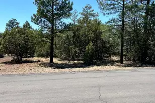 4864 Bison Trail, Lakeside, AZ 85929 - Photo 1