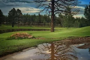 3468 S del Mar Ct, Flagstaff, AZ 86005 - Photo 50