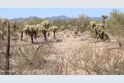 14223 S Shaw Road #00330, Tucson, AZ 85736 - Photo 2