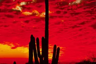 8526 E Hackamore Dr, Scottsdale, AZ 85255 - Photo 40