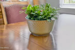 6429 E Claire Dr, Scottsdale, AZ 85254 - Photo 18