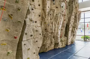 40557 N Territory Trail, Anthem, AZ 85086 - Photo 62