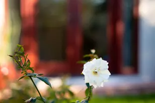 5602 N Camelback Canyon Pl, Phoenix, AZ 85018 - Photo 32