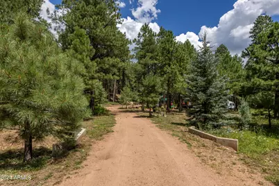 1225 Highway Loop, Forest Lakes, AZ 85931 - Photo 40