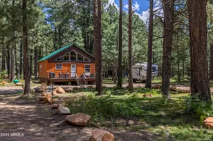 1225 Hwy Loop, Forest Lakes, AZ 85931 - Photo 4