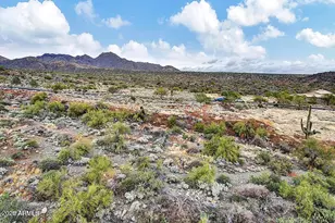 14339 E Desert Tortoise Trail, Fountain Hills, AZ 85268 - Photo 30
