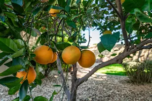 7609 S 18th Way, Phoenix, AZ 85042 - Photo 34