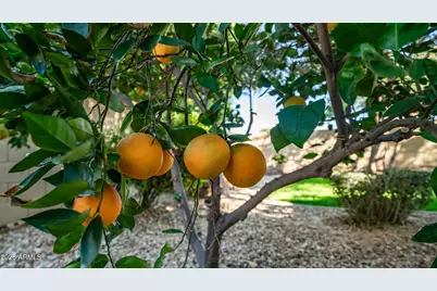 7609 S 18th Way, Phoenix, AZ 85042 - Photo 30