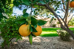 7609 S 18th Way, Phoenix, AZ 85042 - Photo 30