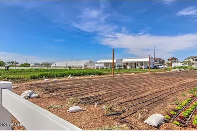 10756 E Sheffield Drive, Mesa, AZ 85212 - Photo 84