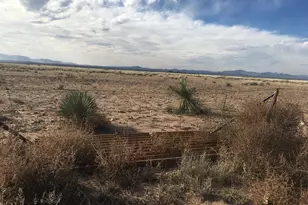 Xxxx NE Ranch Rd, Douglas, AZ 85607 - Photo 1