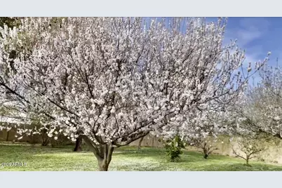 5116 W La Mirada Drive, Laveen, AZ 85339 - Photo 44