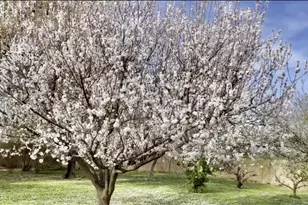 5116 W La Mirada Dr, Laveen, AZ 85339 - Photo 44