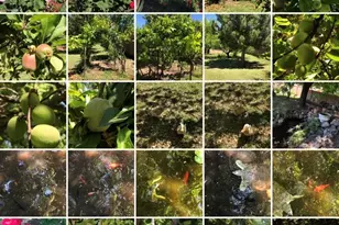 5116 W La Mirada Dr, Laveen, AZ 85339 - Photo 46