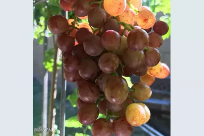 5116 W La Mirada Drive, Laveen, AZ 85339 - Photo 32