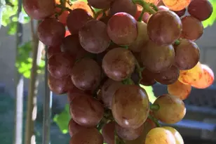 5116 W La Mirada Dr, Laveen, AZ 85339 - Photo 32