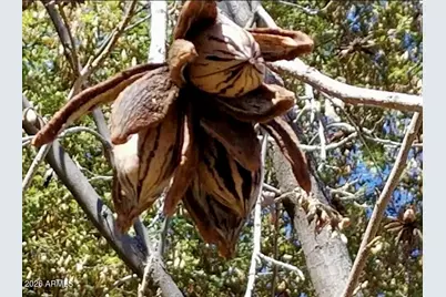 5116 W La Mirada Drive, Laveen, AZ 85339 - Photo 26