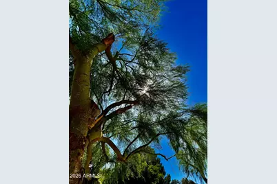 5116 W La Mirada Drive, Laveen, AZ 85339 - Photo 44