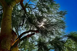 5116 W La Mirada Dr, Laveen, AZ 85339 - Photo 44