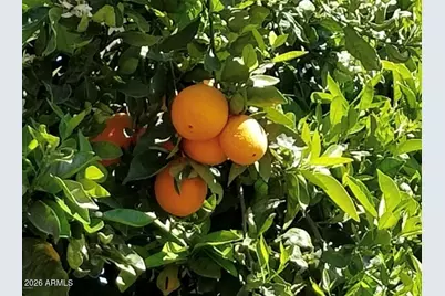 5116 W La Mirada Drive, Laveen, AZ 85339 - Photo 36