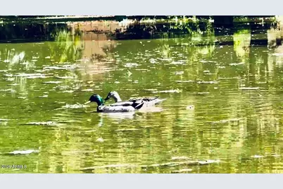 5116 W La Mirada Drive, Laveen, AZ 85339 - Photo 30