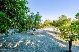 6788 W Greenbriar Dr, Glendale, AZ 85308 - Photo 74