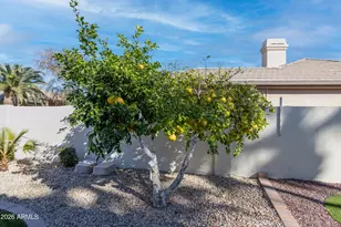 1782 W Lynx Way, Chandler, AZ 85248 - Photo 52