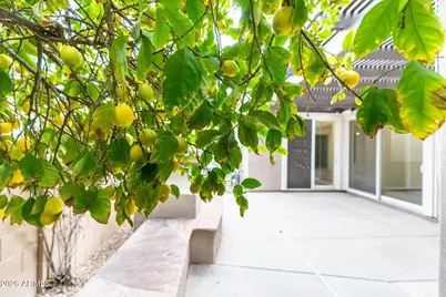 3067 S Halsted Drive, Chandler, AZ 85286 - Photo 6